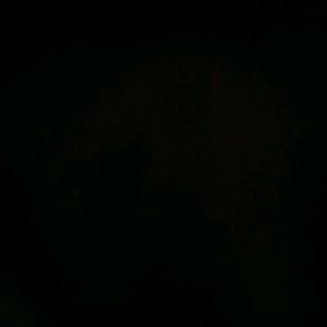 Meet your Posher, Alexia